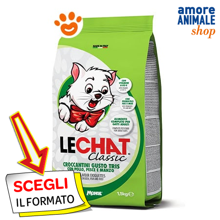 Immagine Prodotto
