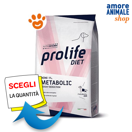 Immagine Prodotto